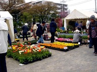 20120421_船橋市本町7_緑と花のジャンボ市_1024_DSC09468