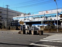 20131229_船橋市浜町3_東水フーズ_水産_マグロ_1147_DSC07421