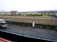 20120422_船橋市若松1_船橋競馬場_よさこい祭り_1113_DSC09604