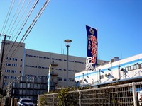 20131229_船橋市浜町3_東水フーズ_水産_マグロ_1138_DSC07410