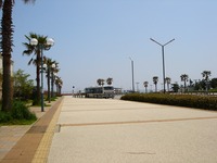 20120429_浦安市明海7_浦安市総合公園_サイクリングロード_1211_DSC01203