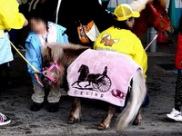 20120422_船橋市若松1_船橋競馬場_よさこい祭り_1302_DSC09714T
