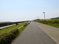 20120429_浦安市明海7_浦安市総合公園_サイクリングロード_1216_DSC01234