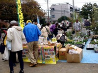 20120421_船橋市本町7_緑と花のジャンボ市_1024_DSC09463