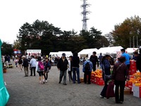 20131109_習志野市鷺沼2_農業祭_ガスフェスタ_1351_DSC08346