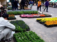 20120421_船橋市本町7_緑と花のジャンボ市_1007_DSC09439