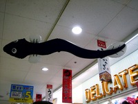20120721_うなぎ_鰻_シラス_土用の丑の日_蒲焼_1809_DSC03901