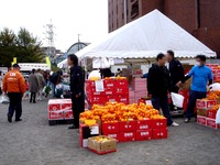20131109_習志野市鷺沼2_農業祭_ガスフェスタ_1342_DSC08317