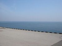 20120429_浦安市明海7_浦安市総合公園_サイクリングロード_1220_DSC01254