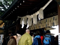 20131231_市川市八幡4_葛飾八幡宮_茅の輪くぐり_1623_DSC08159