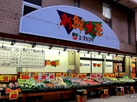 20131120_神奈川県_ロピア_ユータカラヤ_070