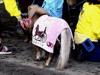 20120422_船橋市若松1_船橋競馬場_よさこい祭り_1302_DSC09715T