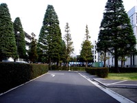 20131103_船橋市_日本大学理工学部_習志野祭_1251_DSC07021
