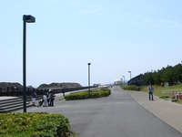 20120429_浦安市明海7_浦安市総合公園_サイクリングロード_1218_DSC01238T
