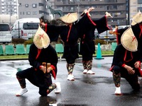 20120422_船橋市若松1_船橋競馬場_よさこい祭り_1329_DSC09808