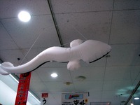 20120721_うなぎ_鰻_シラス_土用の丑の日_蒲焼_1808_DSC03900