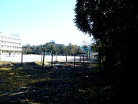 20121208_船橋市立_若松小学校_津波一時避難施設_1112_DSC05439