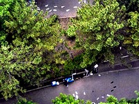 20130625_習志野市茜浜の県道15号脇_緑地帯_殺人_02112