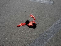 20080613_忘れ物_落とし物_遺失物_0845_DSC06428