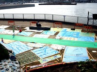 20140730_船橋市_船橋港親水公園花火大会_1500_DSC02184