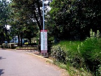 20130811_習志野市茜浜1_緑地帯_女性殺人事件_1012_DSC05470