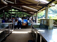 20160503_松戸市21世紀の森と広場_バーベキュー場_1032_DSC04888