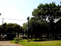 20150711_千葉市_幕張町3_電子基準点_舟溜跡公園_1407_DSC00502