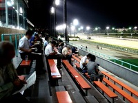 20150617_船橋市若松1_船橋競馬場_ナイター設備_1945_DSC08974