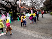20160323_東京都台東区_上野公園_上野恩賜公園_桜_1125_DSC09880