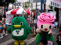 20140823_習志野市_谷津遊路_バラ_やっぴー_1615_DSC02586