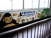20160402_千葉市動物公園_レッサーパンダの風太くん_1248_DSC00275