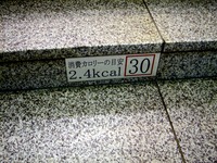 20140723_JR京葉線_東京駅_ホーム階段_カロリー_0821_DSC00378
