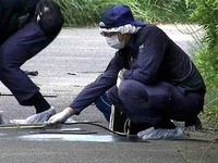 20130625_習志野市茜浜の県道15号脇_緑地帯_殺人_712
