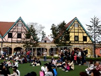 20150412_千葉県袖ケ浦永吉_東京ドイツ村_1308_DSC09118