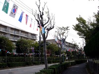 20141011_習志野市秋津_第34回秋津祭り_0919_DSC01240
