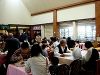 20150412_千葉県袖ケ浦永吉_東京ドイツ村_1307_DSC09111