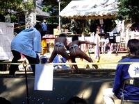 20141019_船橋市宮本5_船橋大神宮_子ども相撲_1136_DSC03226