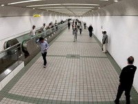 20151004_船橋市古作1_中山競馬場_1216_DSC01282
