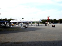 20141011_習志野市秋津_第34回秋津祭り_0922_DSC01250