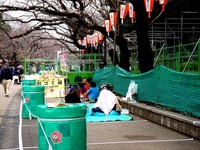 20160323_東京都台東区_上野公園_上野恩賜公園_桜_1116_DSC09856