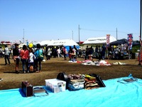 20140504_市川市_国分川鯉のぼりフェスティバル_1009_DSC08065