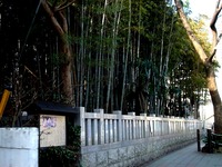 20170305_市川市八幡2_不知森神社_0910_DSC02014