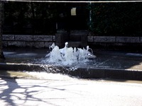 20110313_東日本大震災_海浜香澄団地_水道_下水_逆流_1152_DSC09633