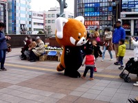 20160326_千葉市動物公園_レッサーパンダの風太くん_1148_DSC00383