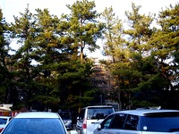 20140103_船橋市宮本5_船橋大神宮_灯明台公開_1600_DSC09046