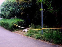 20130706_習志野市茜浜1_緑地帯_女性殺人事件_0834_DSC05509