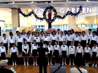 20151107_習志野市立大久保東小学校_合唱部_1417_19010