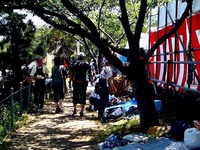 20140601_船橋市_第29回海老川親水市民まつり_1045_DSC03444T