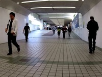 20151004_船橋市古作1_中山競馬場_1217_DSC01283