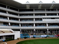 20150419_船橋市古作1_中山競馬場_皐月賞_1055_DSC00433